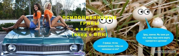 молекула духа Беломорск