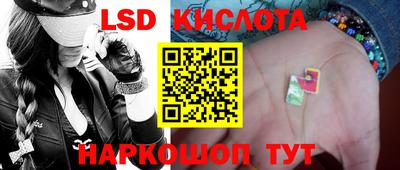 шишки Берёзовский