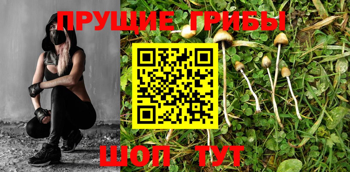 Псилоцибиновые грибы MAGIC MUSHROOMS  Псилоцибиновые грибы MAGIC MUSHROOMS  Бузулук  Вход с VPN 