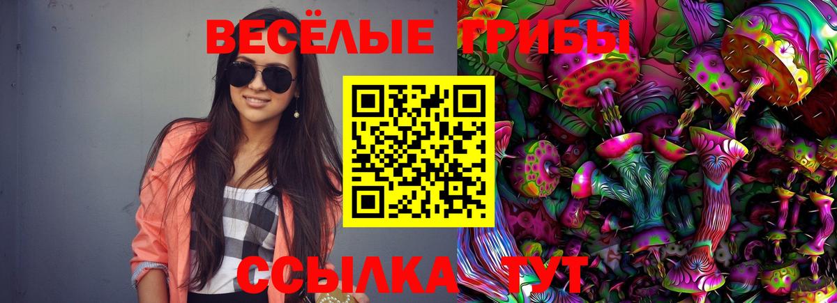 A-PVP Бузулук